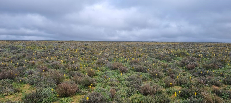 3 Bedroom Property for Sale in Nieuwoudtville Northern Cape